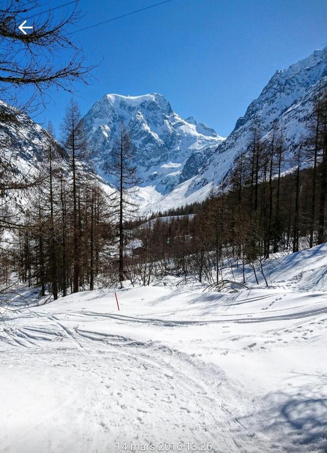 Le Panorama - Appartement 54 A Arolla Face Aux Montagnes A 150M Des Pistes Эволен Экстерьер фото