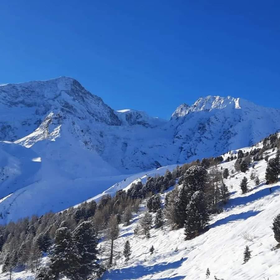 Le Panorama - Appartement 54 A Arolla Face Aux Montagnes A 150M Des Pistes Эволен Экстерьер фото